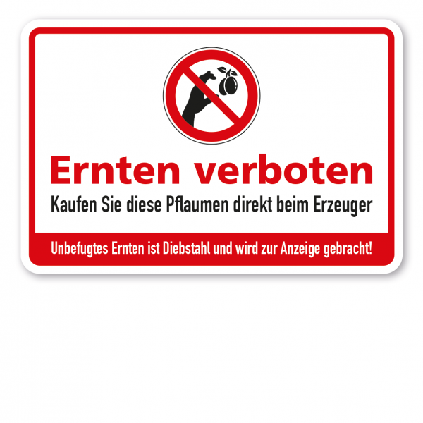 Ernteschild / Verbotsschild Ernten verboten - Kaufen Sie diese Pflaumen direkt beim Erzeuger - Unbefugtes Ernten ist Diebstahl und wird zur Anzeige gebracht – mit Verbotszeichen Pflaume