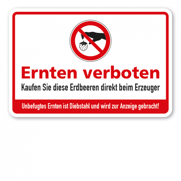 Ernteschild / Verbotsschild Ernten verboten - Kaufen Sie diese Erdbeeren direkt beim Erzeuger - Unbefugtes Ernten ist Diebstahl und wird zur Anzeige gebracht – mit Verbotszeichen Erdbeere