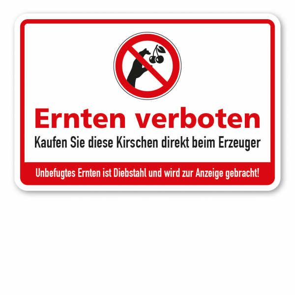 Ernteschild / Verbotsschild Ernten verboten - Kaufen Sie diese Kirschen direkt beim Erzeuger - Unbefugtes Ernten ist Diebstahl und wird zur Anzeige gebracht – mit Verbotszeichen Kirsche